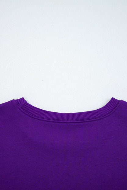 Tillandsia Purple Varsity Contrast Banded Sleeve Shift Sweatshirt Dress