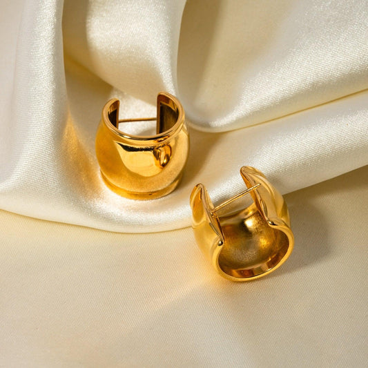 Stainless Steel C-Hoop Earrings Carauana Store